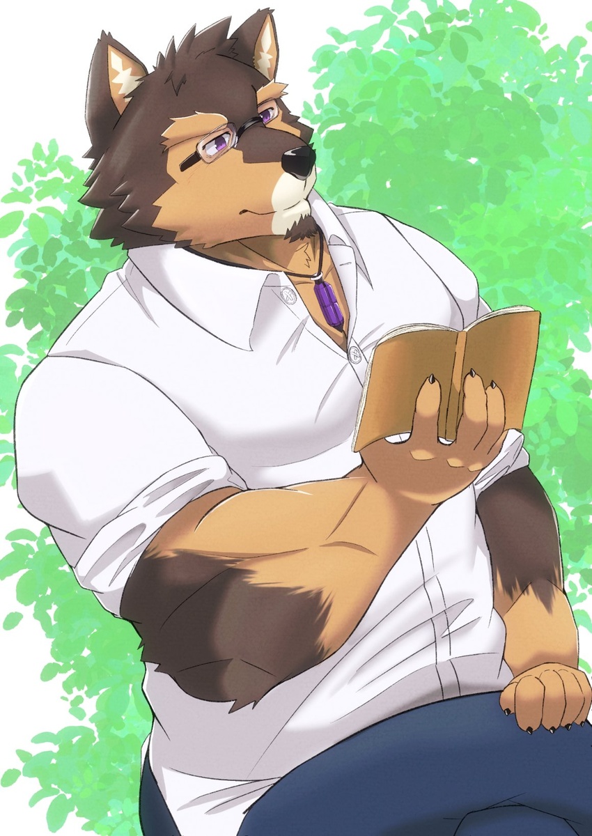 anthro book brown_body brown_fur canid canine canis claws clothing countershading domestic_dog dress_shirt eyewear fur glasses hi_res lifewonders live_a_hero male mammal muscular muscular_anthro muscular_male nazebesu_hobby outside pubraseer purple_eyes reading shirt solo topwear