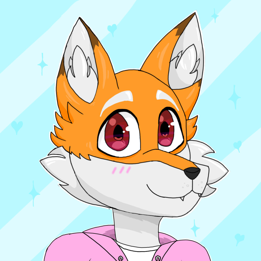 anthro belly black_nose blush blush_lines brown_ear_tips brown_eartips canid canine clothing cute_fangs des_(desthefemboy) desthefemboy dipstick_ears ear_markings eyes fluffy fox fur glistening glistening_eyes heart_eyes heart_symbol hi_res hoodie inner_ear_fluff male mammal multicolored_ears orange_body orange_fur pink_clothing pink_hoodie pink_topwear red_eyes shirt smile solo t-shirt teeth topwear tuft white_belly white_clothing white_shirt white_t-shirt white_topwear