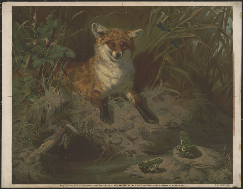 19th_century absurd_res ambient_dragonfly ambiguous_gender amphibian ancient_art arthropod black_body black_fur black_nose black_paws black_spots blue_sky border brown_eyes canid canine countershading creek day detailed detailed_background detailed_fur ear_tuft ears_up english_text eye_contact feral formal_art fox frog fur german_text gloves_(marking) grass green_body green_skin group hi_res huge_filesize inner_ear_fluff leg_markings lithograph_(artwork) looking_at_another lying mammal markings mud multicolored_body multicolored_fur multicolored_skin nature on_front open_mouth orange_body orange_fur outside plant predator/prey public_domain ranid red_fox rock shaded shadow side_view signature size_difference sky socks_(marking) spots spotted_body spotted_skin stick text three-quarter_view traditional_media_(artwork) translated trio_focus true_fox tuft two_tone_body two_tone_fur water whiskers white_body white_countershading white_fur white_skin william_holbrook_beard