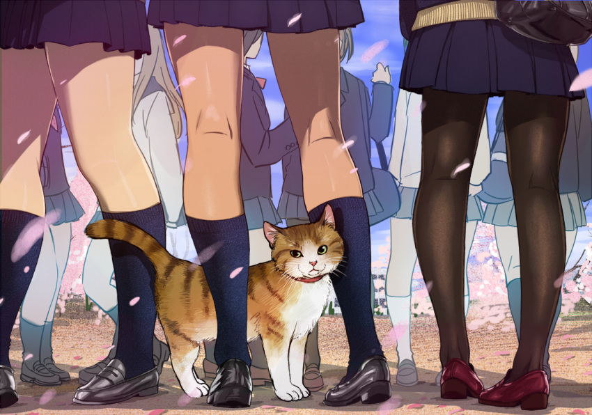 animal feline group kneehighs long_hair naav original pantyhose petals seifuku skirt waifu2x