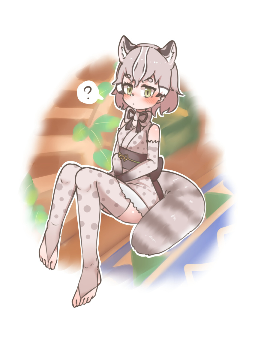 ? absurdres animal_ears animal_print back_bow bare_shoulders belt black_hair blush bow bowtie brown_belt cat_ears cat_girl cat_print cat_tail chai_chai_huishi elbow_gloves fur_trim gloves green_eyes grey_hair hair_between_eyes hands_on_lap highres japanese_clothes kemono_friends kemono_friends_3 kimono multicolored_hair obi print_bow print_bowtie print_gloves print_kimono print_thighhighs sash short_hair short_kimono sidelocks spoken_question_mark stirrup_legwear tail thighhighs toeless_legwear tsushima_leopard_cat_(kemono_friends) white_hair zettai_ryouiki