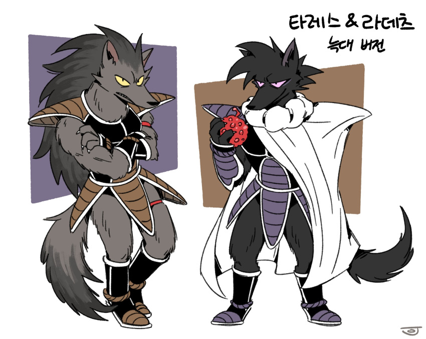 2023 anthro anthrofied biped black_body black_fur black_nose black_tail canid canine canis cape clothed clothing crossed_arms dragon_ball dragon_ball_z duo full-length_portrait fur geometric_background grey_body grey_fur grey_tail hair hi_res jjo_db korean_text long_hair male mammal portrait purple_sclera raditz simple_background standing tail text translated turles white_background white_cape white_clothing wolf yellow_sclera