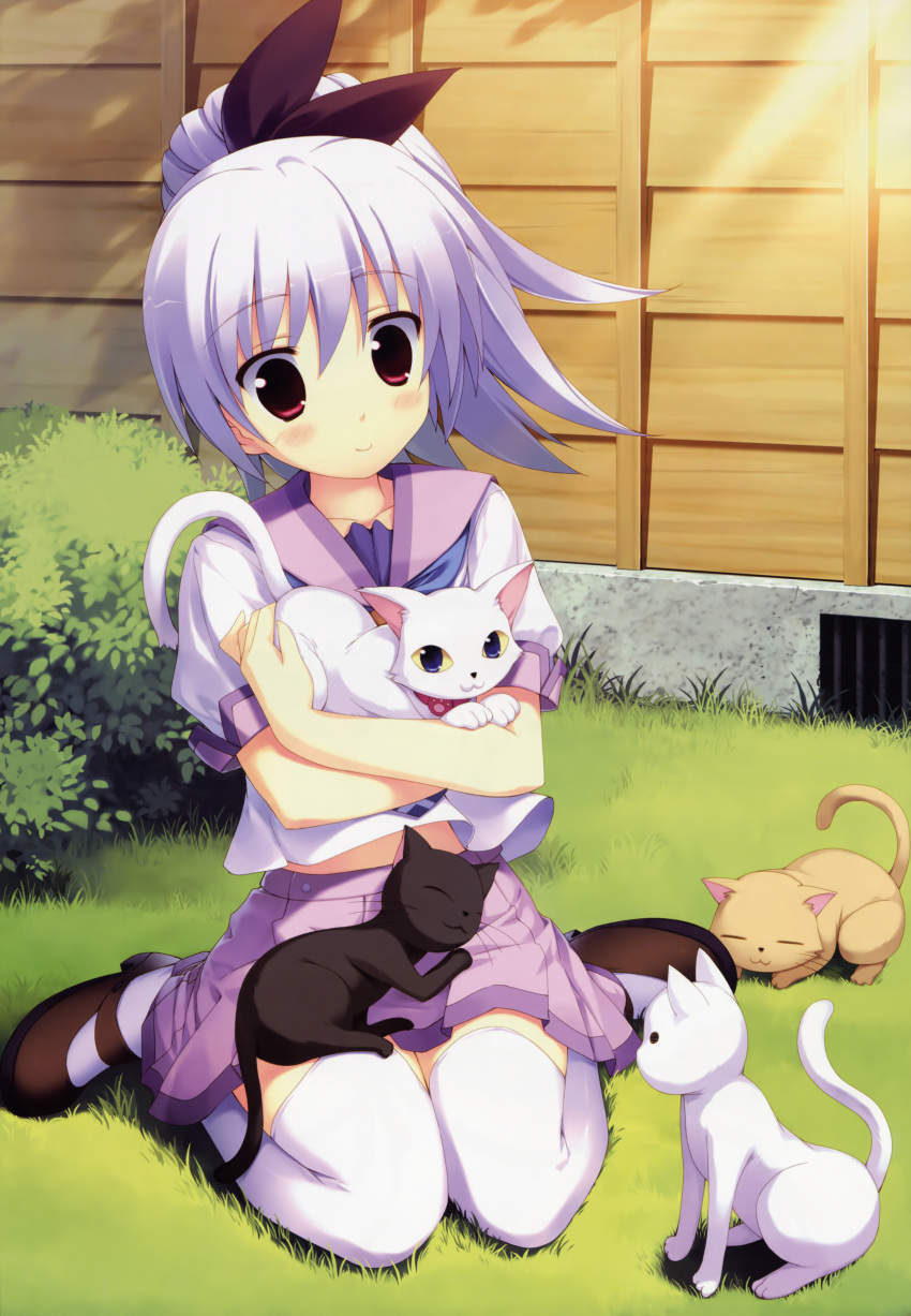 absurdres eufonie feline female hidamari_basket highres huge_filesize kiba_satoshi koizumi_mayu neko purple_hair school_uniform seifuku solo thigh-highs thighhighs