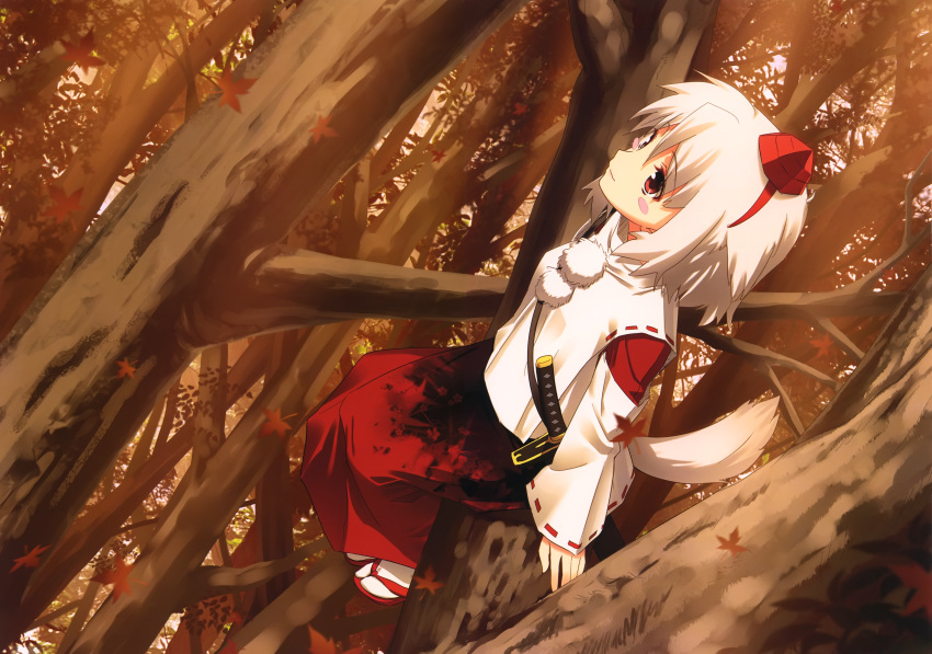 inubashiri_momiji kamikire_basami tail touhou yasuyuki