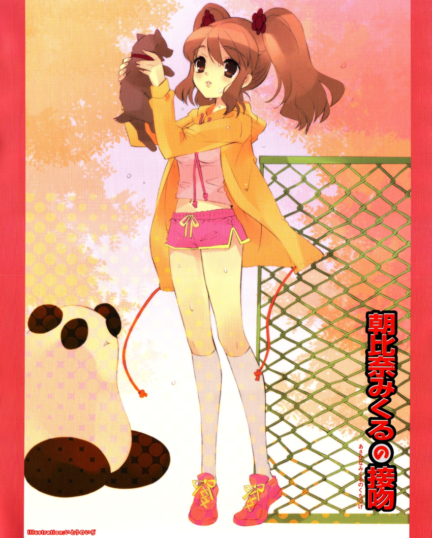 asahina_mikuru blush blush canine highres itou_noiji midriff noizi_itou short_hair shorts suzumiya_haruhi_no_yuuutsu sweat twintails twintails