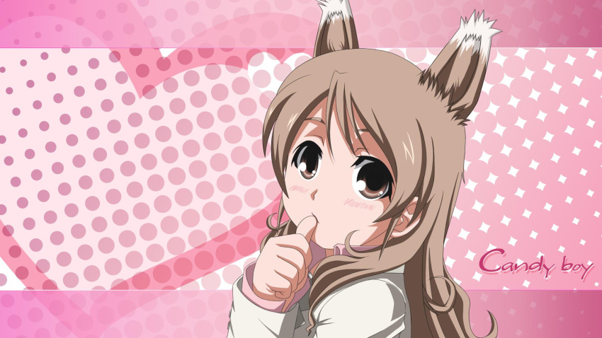 animal_ears big_eyes brown_eyes candy_boy chibi close fox_ears kemonomimi kitsune sakurai_yukino