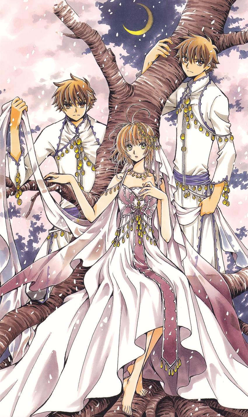 2boys absurdres brown_eyes brown_hair cherry_blossoms clamp_(circle) dress female highres li_"xiaolang" looking_at_viewer moon multiple_boys outdoors sakura_hime see-through short_hair tree tsubasa_chronicle xiaolang