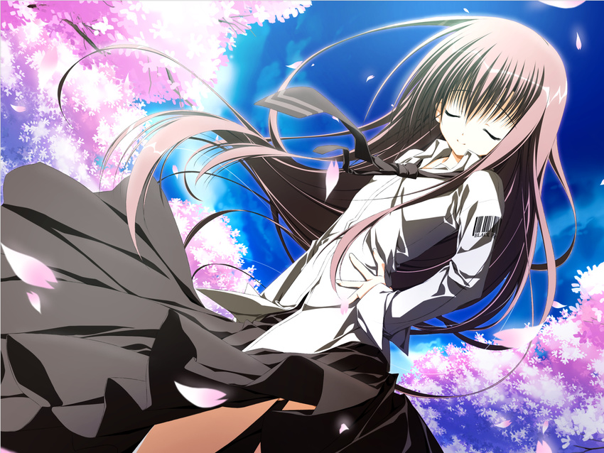 long_hair sakura_no_uta tagme tie