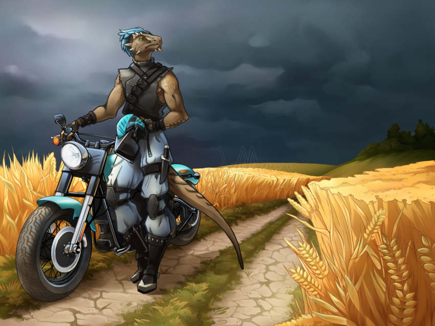 4:3 anthro argonian armor biker clothed clothing detailed_background headgear helmet kevintheradioguy male microsoft motorcycle scalie scenery solo storm_clouds the_elder_scrolls vehicle