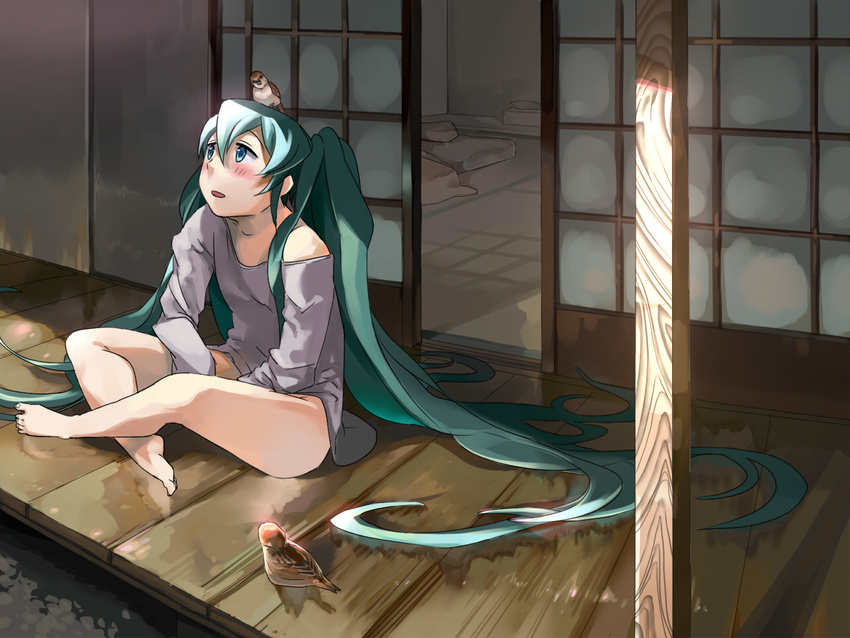 animal animal_on_head barefoot bird bird_on_head blush commentary_request female green_eyes green_hair hatsune_miku indian_style long_hair nemeko on_head sitting solo sparrow twintails veranda very_long_hair vocaloid