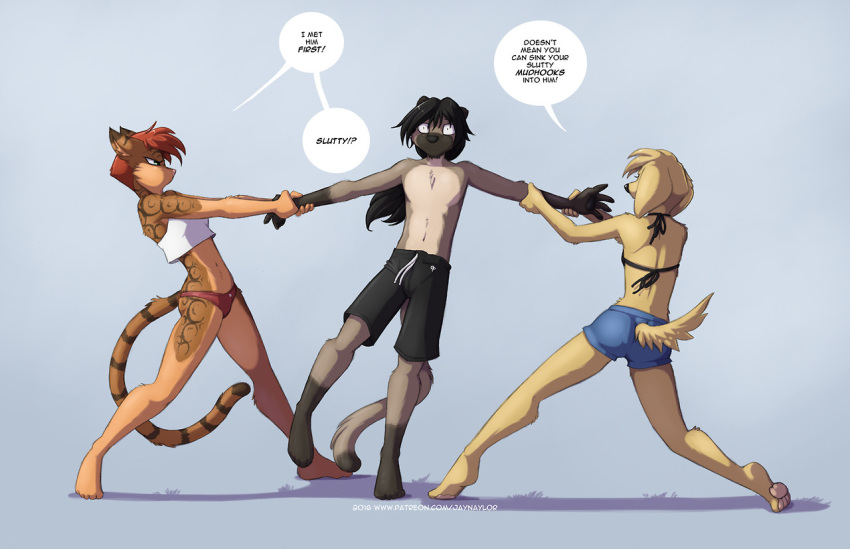 anthro aron_(jay_naylor) audrey_(jay_naylor) bottomwear boxers_(clothing) bra breasts canid canine canis clothing conditional_dnp dialogue domestic_cat domestic_dog felid feline felis female fur group jay_naylor male mammal panties shorts siamese text underwear zoe_(jay_naylor)