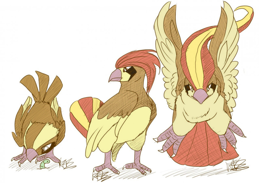 avian beak bird brown_body evolutionary_family feet feral generation_1_pokemon klouku looking_at_viewer nintendo pidgeot pidgeotto pidgey pokemon pokemon_(species) tail talons third-party_edit toes wings worm