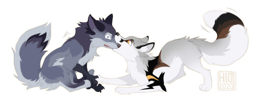 2020 4_toes black_body black_fur canid canine claws digital_media_(artwork) digitigrade duo enfield feet female feral fluffy fluffy_tail fox fur grey_background grey_body grey_fur hi_res hioshiru hioshiru_(character) kej_(kejifox) male mammal multicolored_tail neck_tuft nom quadruped simple_background sitting tail teeth toes tuft white_background white_body white_fur yellow_eyes