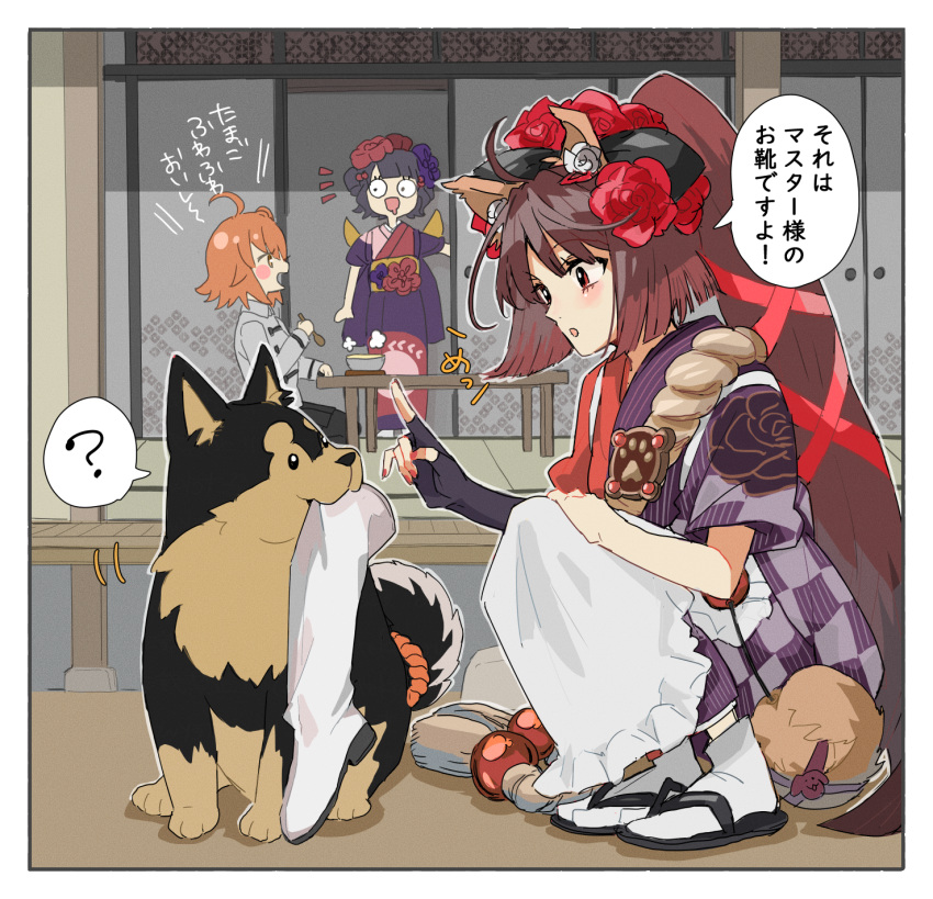 3girls ? ahoge animal_ears apron black_gloves blush breasts brown_hair canine chaldea_uniform checkered_clothes checkered_kimono fate/grand_order fate_(series) fingerless_gloves floral_print flower fujimaru_ritsuka_(female) german_shepherd gloves grey_kimono hair_flower hair_ornament hair_ribbon highres japanese_clothes katsushika_hokusai_(fate) kimono kyokutei_bakin_(fate) kyokutei_bakin_(first_ascension)_(fate) long_hair medium_breasts multicolored_clothes multicolored_kimono multiple_girls open_mouth orange_hair ponytail purple_hair red_eyes red_kimono red_ribbon ribbon rope sandals sash shiba_inu shino_(fate) short_hair short_sleeves single_glove socks speech_bubble spoken_question_mark tabi tekuteku_aruko translated very_long_hair