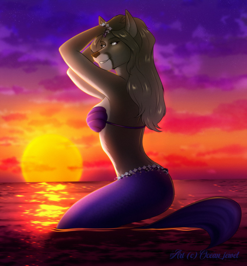 2022 aleka_(masterofwolves99) anthro beach bra bracelet breasts canid canine clothed clothing female fox fur grey_body grey_fur hair hi_res jewelry long_hair looking_at_viewer looking_back looking_back_at_viewer mammal marine masterofwolves99 merfolk ocean_jewel outside pinup pose sea seashell_bra seaside silver_hair smile solo split_form sun sunset underwear water watermark