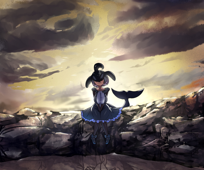 backlighting bauncer black_hair cetacean_tail closed_mouth cloud collarbone commentary_request covered_eyes dorsal_fin dress facing_viewer female fins fish_tail frilled_dress frills full_body grey_hair hair_over_eyes head_fins head_tilt highres kemono_friends knees_together_feet_apart long_sleeves medium_dress multicolored_hair orca_(kemono_friends) outdoors pantyhose partial_commentary purple_hair sitting sky smile solo tail twilight v_arms