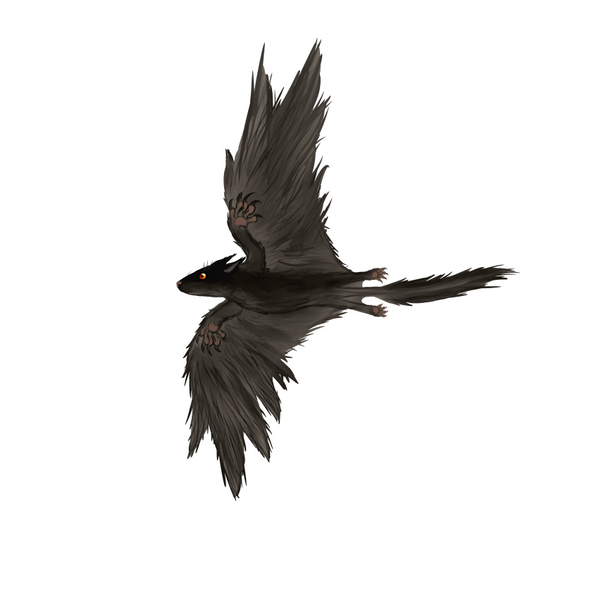 1:1 absurd_res allotheria ambiguous_gender black_body black_feathers black_fur claws feathered_wings feathers feral flying fur hi_res hypomartyria long_ears mammal solo wings