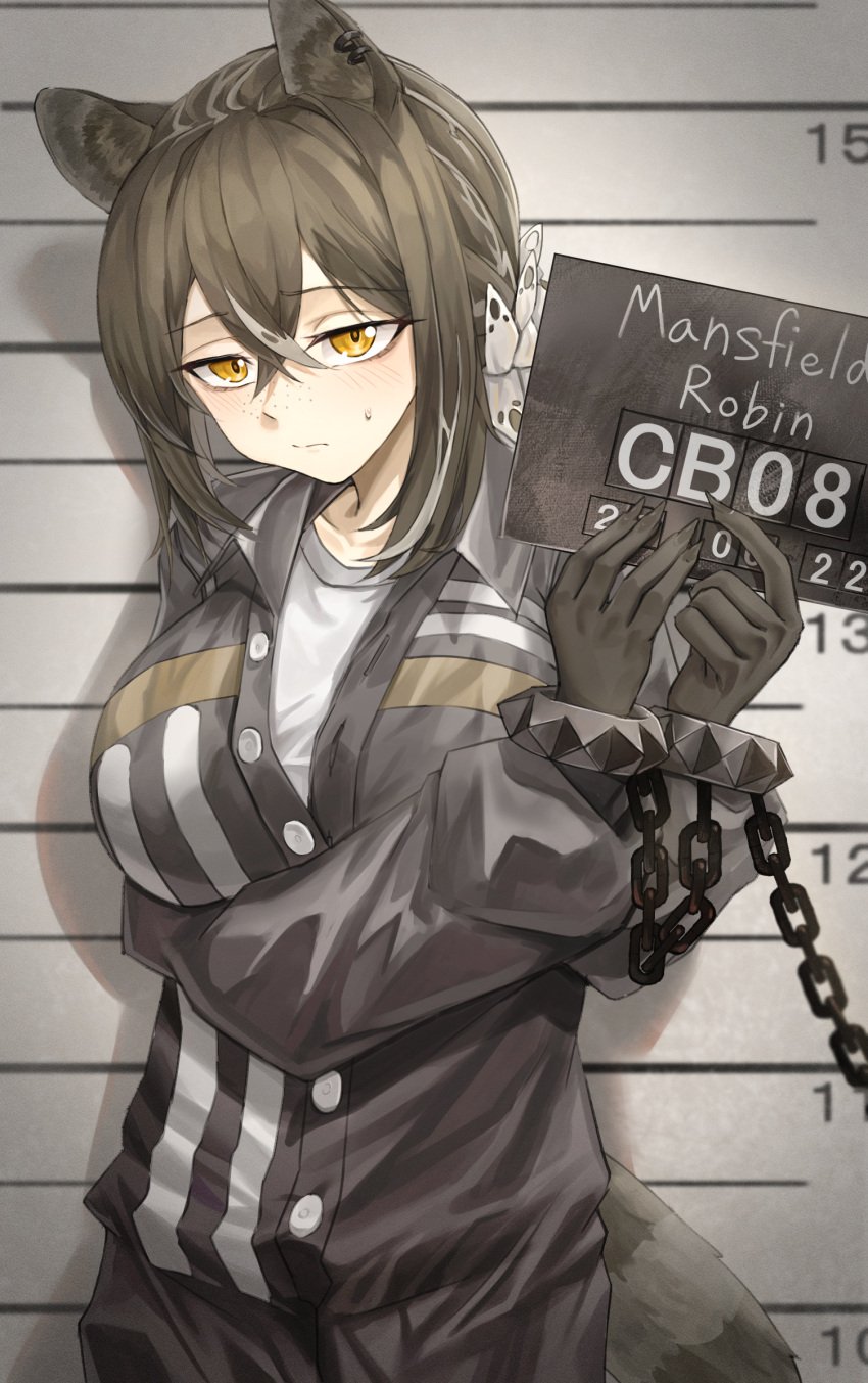 animal_ears animal_hands arknights black_jacket blush breasts brown_hair closed_mouth cowboy_shot cuffs female freckles hair_between_eyes handcuffs highres holding holding_sign jacket large_breasts long_hair long_sleeves looking_at_viewer mugshot open_clothes ponytail putcho raccoon_ears raccoon_girl raccoon_tail robin_(arknights) shirt sign solo tail white_shirt yellow_eyes