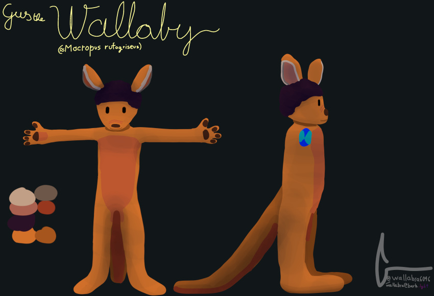 afro anthro dark_hair featureless_crotch featureless_feet feet gus_(wallabra) hi_res macropod male mammal marsupial model_sheet simple_background solo two_tone_chest wallabra wallaby