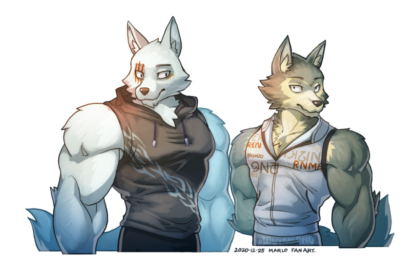 2020 anthro beastars biceps canid canine canis clothed clothing fur grey_body grey_fur legoshi_(beastars) male mammal muscular muscular_male simple_background wolf wolfmalro