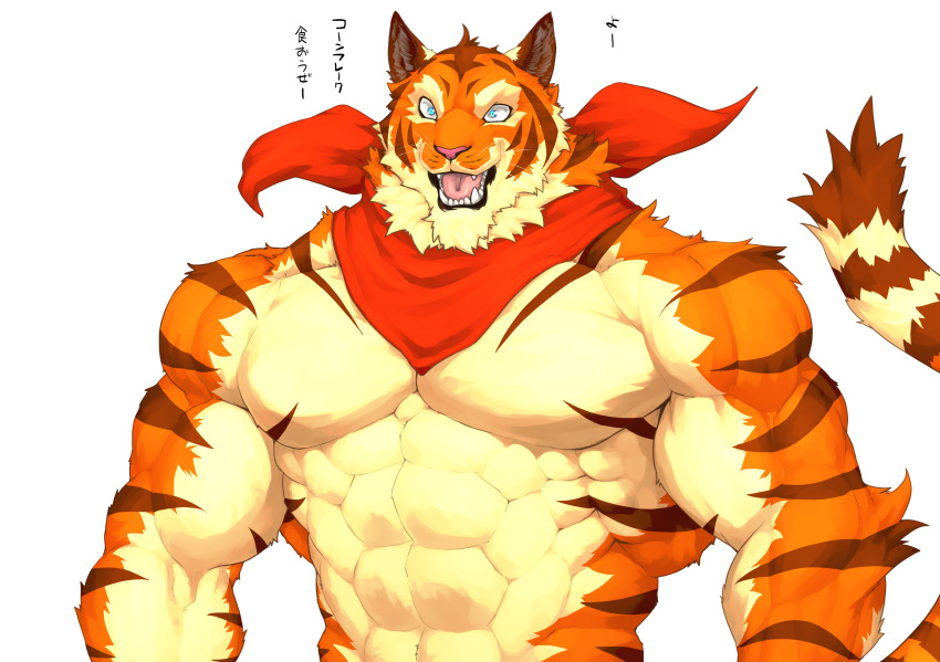 abs absurd_res anthro biceps big_muscles captainjohkid clothing digital_media_(artwork) felid fur hi_res male mammal muscular muscular_anthro muscular_male pantherine pecs scarfs simple_background solo standing text tiger translated