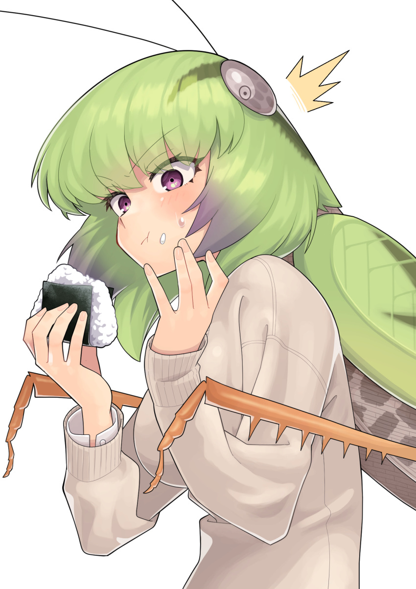 :t arthropod_girl bug eating evolvingmonkey female food food_on_face grasshopper grasshopper_inoue green_hair highres onigiri original purple_eyes rice rice_on_face solo upper_body white_background