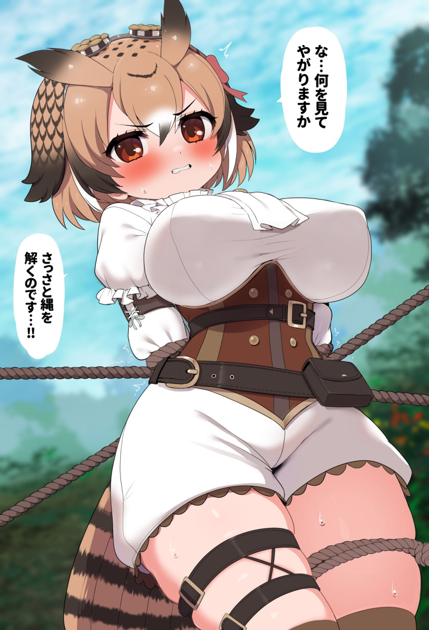 ^^^ arms_behind_back belt belt_pouch bird_tail blouse blurry blurry_background blush bound bound_arms bound_legs breasts brown_hair clenched_teeth commentary_request corset covered_nipples day eurasian_eagle_owl_(kemono_friends) female furrowed_brow goggles goggles_on_head hair_between_eyes highres kemono_friends large_breasts layered_sleeves long_sleeves looking_at_viewer medium_hair multicolored_hair official_alternate_costume outdoors pouch ransusan red_eyes restrained rope shirt shorts solo sweat tail teeth translation_request underbust v-shaped_eyebrows