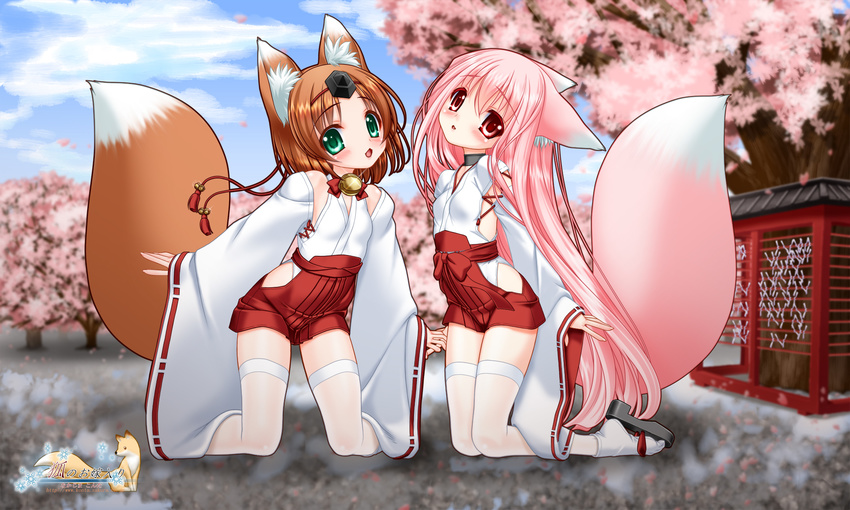 2girls animal_ear_fluff animal_ears bell blush breasts brown_hair cherry_blossoms choker detached_sleeves fox_ears fox_girl fox_tail green_eyes hakama hakama_skirt highres japanese_clothes jingle_bell kneeling long_hair long_sleeves looking_at_viewer miko momoyuki_(snow_fox) multiple_girls nakajima_konta neck_bell okobo omikuji pink_hair red_eyes red_hakama ribbon-trimmed_sleeves ribbon_trim sandals see-through see-through_legwear skirt small_breasts snow_fox tabi tail thighhighs variant_set web_address white_thighhighs yukinagi_(snow_fox)