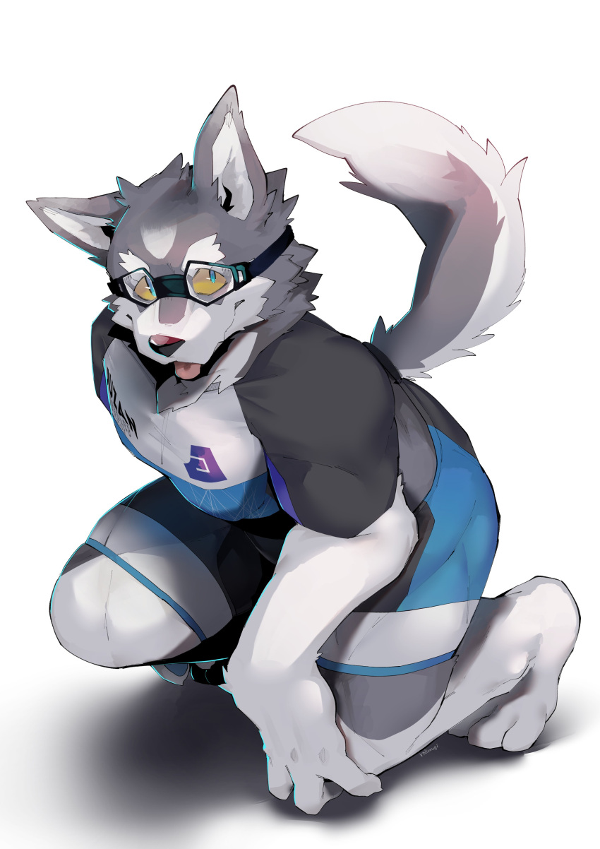 absurd_res anthro athletic_wear barefoot blep blue_clothing blue_eyes bottomwear canid canine canis clothing crouching domestic_dog eyewear feet fur goggles grey_body grey_clothing grey_fur hi_res husky kneeling_on_one_leg logo_on_clothing logo_on_shirt male mammal multicolored_clothing multicolored_tail muscular nordic_sled_dog rollmugi scales shirt shorts solo spitz tail tongue tongue_out topwear white_body white_clothing white_fur yellow_body yellow_scales