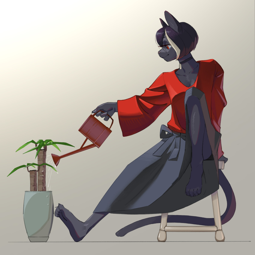 1:1 absurd_res anthro barefoot berry_(kemari) black_body black_fur black_hair choker clothing domestic_cat feet felid feline felis female fur hair hi_res highlights_(coloring) jewelry kemari mammal multicolored_hair necklace one_leg_up plant raised_leg red_clothing red_eyes red_shirt red_topwear shirt short_hair simple_background sitting solo topwear two_tone_hair watering_can white_highlights