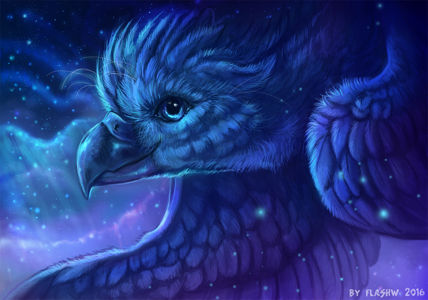 2016 aegialeus ambiguous_gender aurora_(phenomenon) avian beak bird blue_body blue_eyes blue_feathers blue_theme cool_colors detailed detailed_background digital_media_(artwork) digital_painting_(artwork) feathered_wings feathers feral flashw flying half-length_portrait iridescent iridescent_feathers long_mouth looking_at_viewer night no_sclera outside portrait shadow side_view sky solo star starry_sky whiskers wings