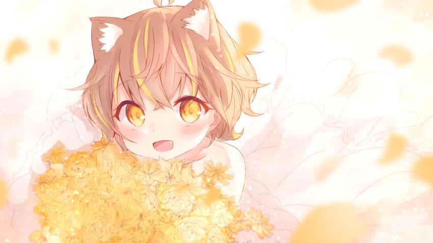 :d ahoge animal_ear_fluff animal_ears annin_miru bare_shoulders blonde_hair blurry blurry_background blush bouquet brown_hair collarbone commentary_request depth_of_field dress female flower hair_between_eyes highres maka_neko multicolored_hair oerba_yun_fang open_mouth rose see-through smile solo streaked_hair virtual_youtuber yahoo! yellow_eyes yellow_flower yellow_rose