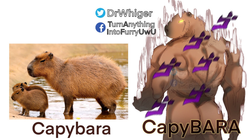 1boy animal ass back bara capybara capybara_boy dr_whiger feet_out_of_frame from_behind furry furry_male glowing glowing_eye highres jojo_no_kimyou_na_bouken jojo_pose looking_back male_focus menacing_(jojo) muscular muscular_male original photo_inset pun short_hair sound_effects steam