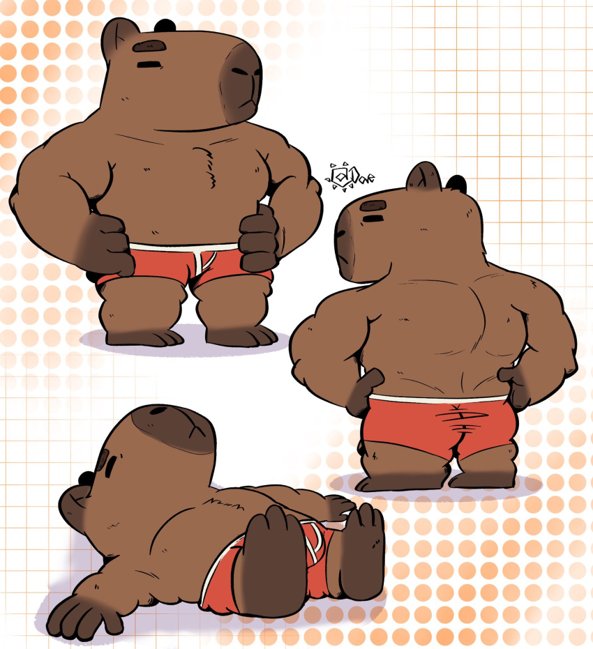 1boy =_= ass bara bara.mp4_(dae_mp4) boxers capybara_boy chibi chibi_only collage full_body furry furry_male hands_on_own_hips highres large_pectorals lying male_focus male_underwear multiple_views muscular muscular_male no_nipples on_back orange_male_underwear original pectorals pun short_hair sleeping thick_eyebrows underwear