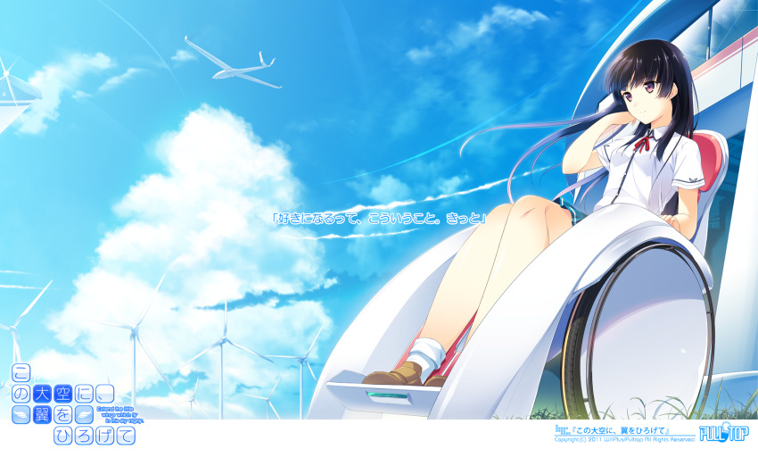 aircraft black_hair cloud day female glider grass habane_kotori highres kono_oozora_ni_tsubasa_wo_hirogete long_hair motoi_ayumu purple_eyes sitting skirt sky solo translated watermark wheelchair wind wind_turbine yashima_takahiro