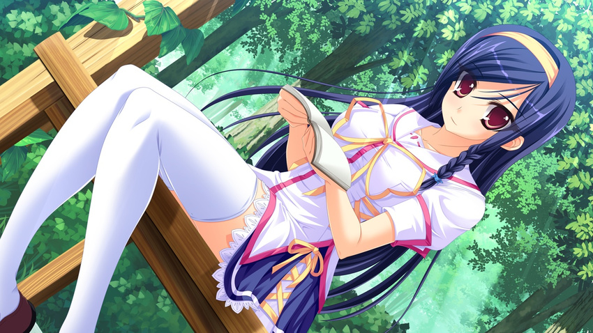 ama_ane blue_hair book game_cg mikoshiba_saki red_eyes seifuku shijou_sadafumi thighhighs tree