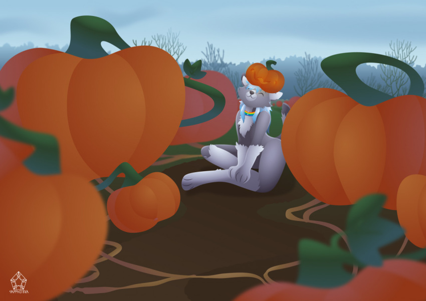 anthro canid canine canis dante_kinkade food forest forest_background fruit male mammal nature nature_background outside plant pumpkin pumpkin_patch sapphireka sitting sitting_on_ground solo tree waiting wolf