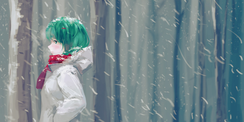 bad_id bad_pixiv_id blush coat female green_eyes green_hair hair_ornament hairclip hood hood_down jq nature original photoshop_(medium) profile red_scarf scarf short_hair snow solo tree winter