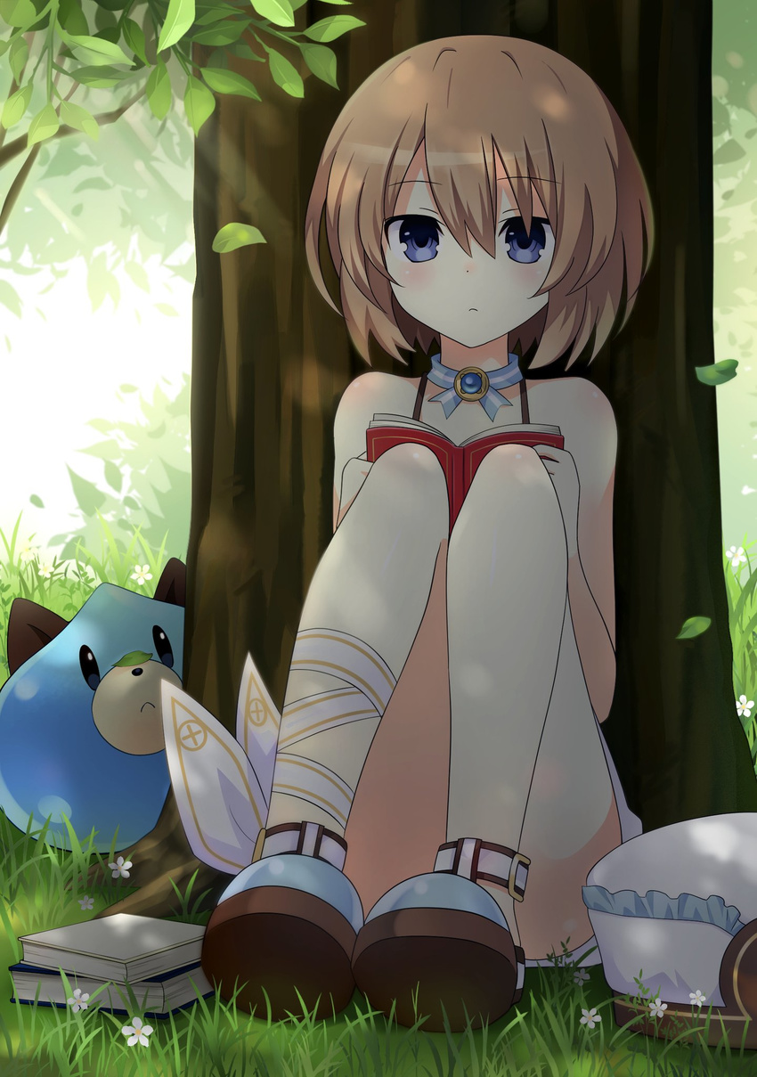 against_tree bare_shoulders blanc_(neptunia) blue_eyes blush book brown_hair commentary_request dogoo falling_leaves female full_body hair_between_eyes hat highres holding holding_book jewelry knees_up leaf legs_together looking_at_viewer neptune_(series) outdoors short_hair sitting solo spaghetti_strap tree tree_shade unworn_hat unworn_headwear zero_(ray_0805)