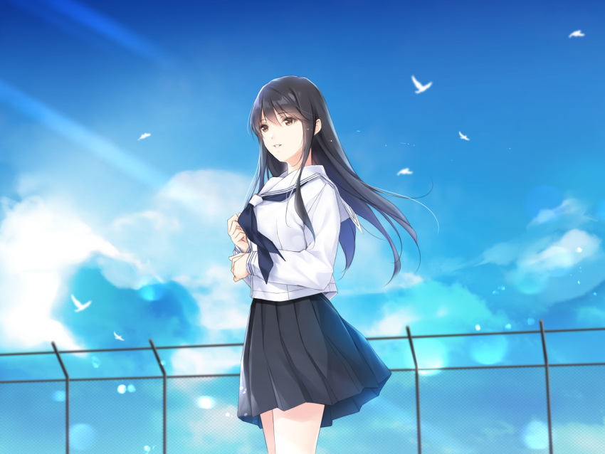 bird black_hair black_skirt blue_neckerchief blue_sky brown_eyes cloud day female hands_up highres light_smile long_hair long_sleeves md5_mismatch nayuta69 neckerchief original outdoors parted_lips resolution_mismatch sailor_collar school_uniform serafuku shirt skirt sky solo source_smaller white_bird white_sailor_collar white_shirt