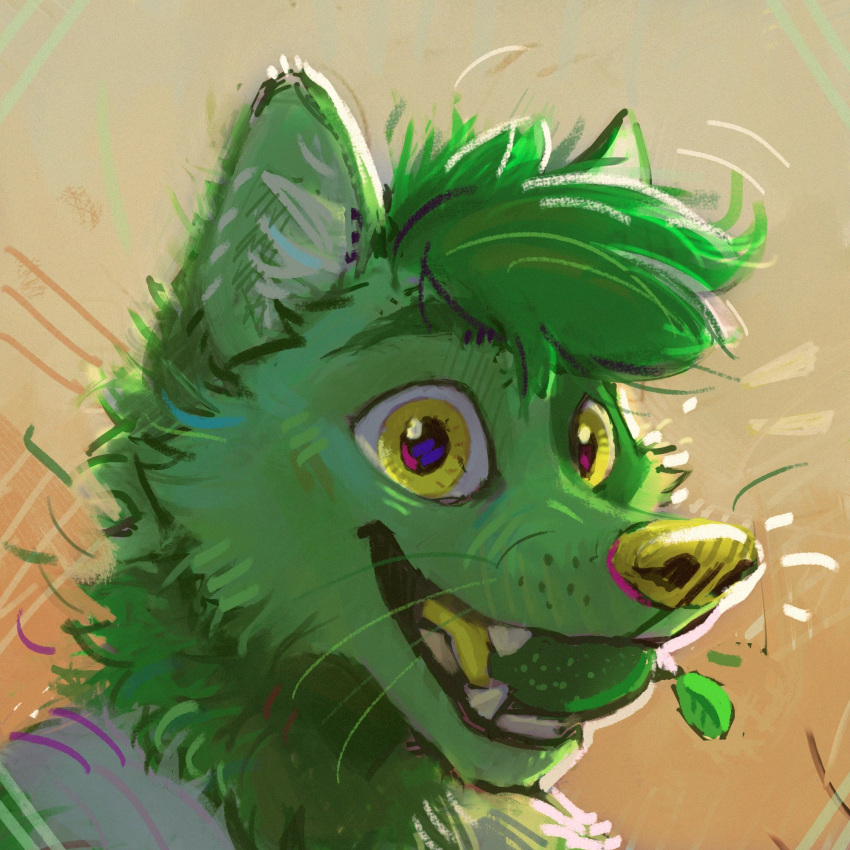 1:1 2022 anthro canid canine cheek_tuft digital_media_(artwork) digital_painting_(artwork) facial_tuft fangs food fruit fur green_body green_fur green_hair green_whiskers grin hair happy headshot_portrait hi_res inner_ear_fluff latrans lime male mammal plant portrait simple_background smile solo tan_background teeth tuft whiskers yellow_eyes yellow_nose