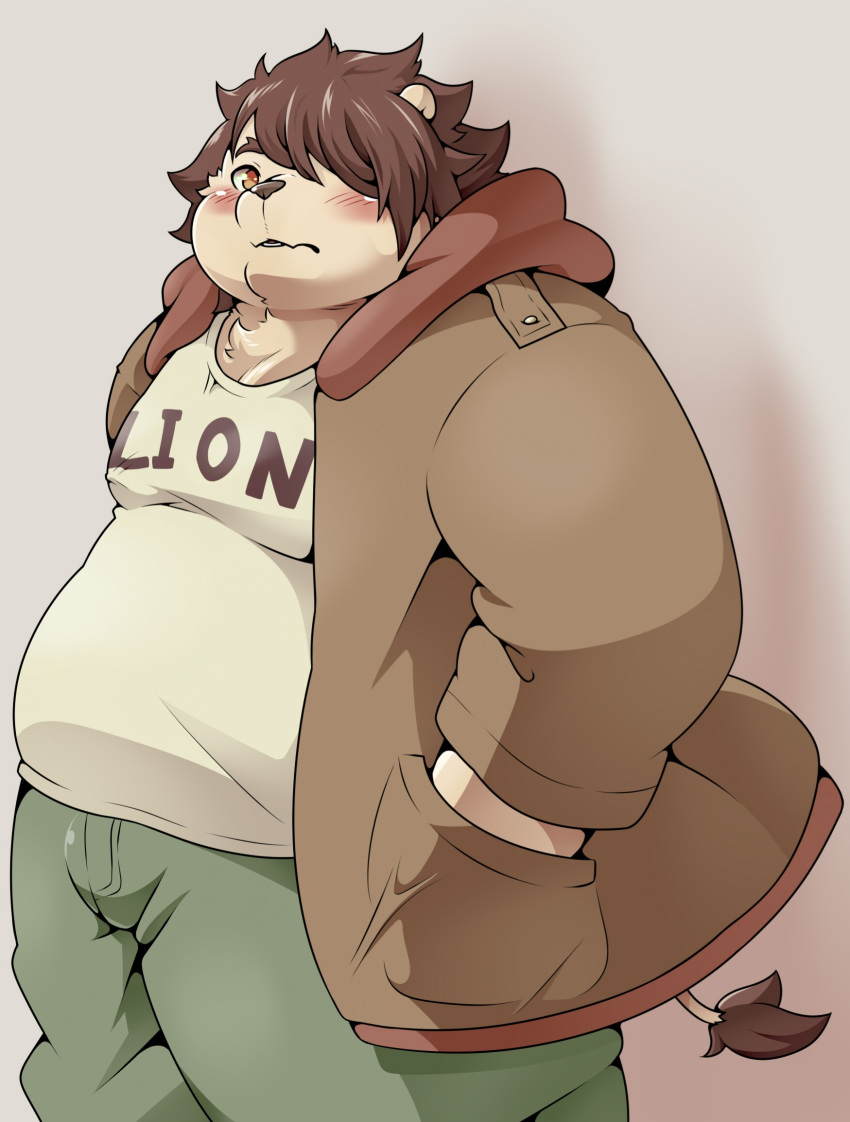 anthro belly blush brown_hair chubby_cheeks clothed clothing felid fur hair hand_in_pocket hi_res hoodie lion male mammal moobs overweight overweight_anthro overweight_male pantherine pockets pomupomu490 solo standing tail tail_tuft tan_body tan_fur topwear tuft