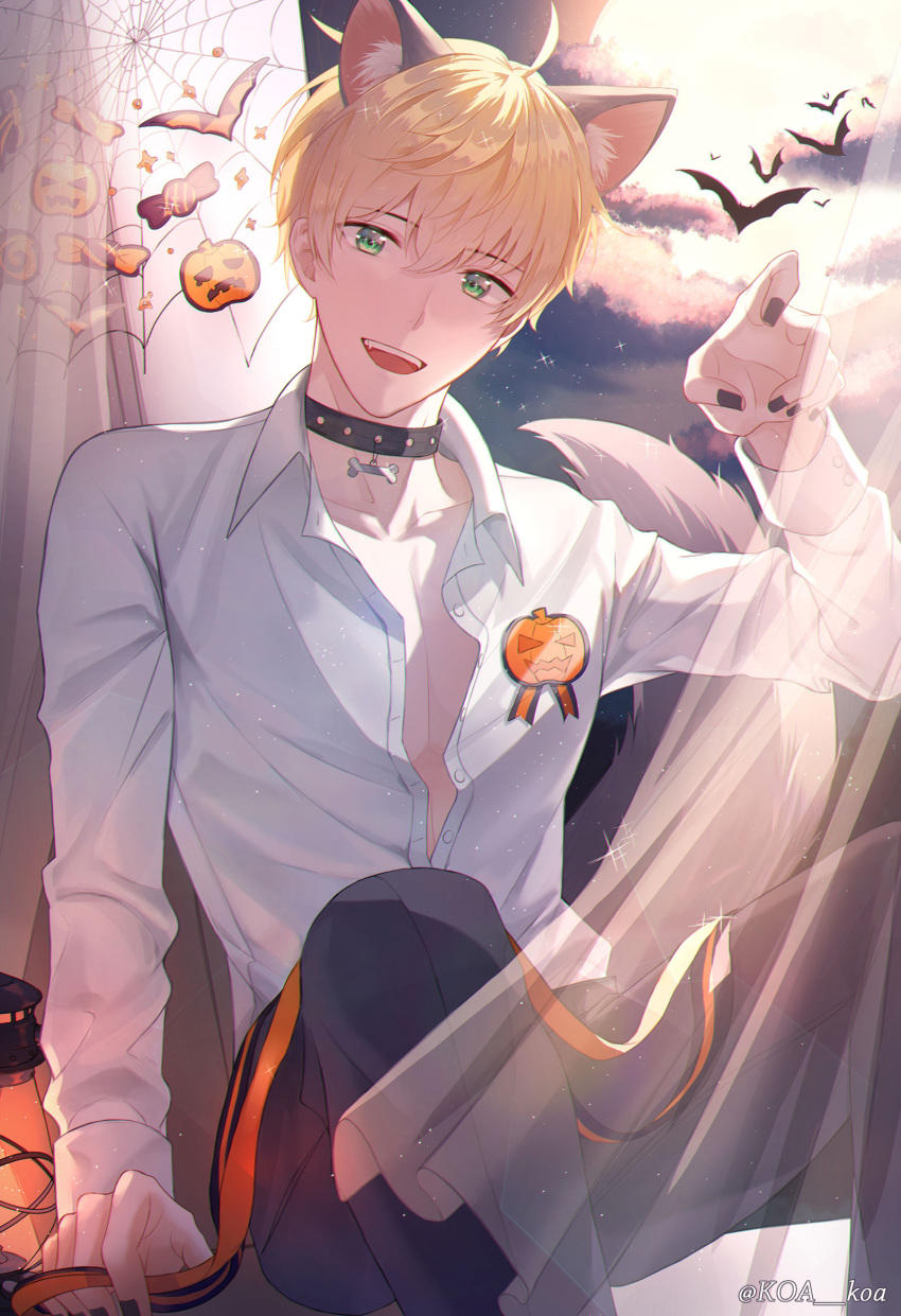 1boy ahoge animal_collar animal_ears arm_support arthur_pendragon_(fate) artist_name bad_id bad_pixiv_id bat_(animal) blonde_hair candy_print cat_ears choker claw_pose collar collarbone collared_shirt commentary_request curtains dress_shirt fate/stay_night fate_(series) green_eyes halloween hand_up highres koa_(koa_124) lamp looking_at_viewer male_focus nail_polish open_mouth orange_ribbon pants partial_commentary pumpkin_print ribbon shirt short_hair sitting smile solo tail teeth unbuttoned unbuttoned_shirt upper_teeth_only white_shirt wolf_ears wolf_tail