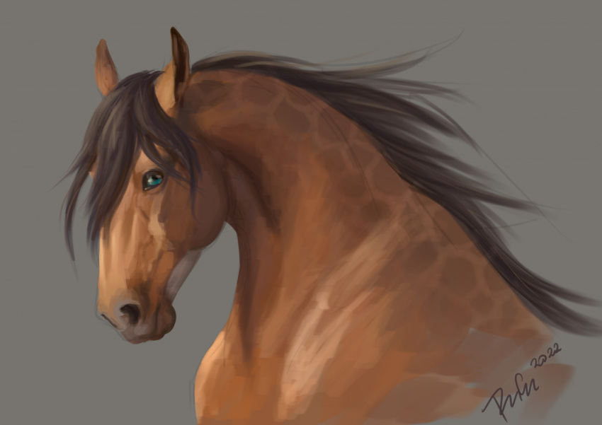 2022 ambiguous_gender blue_eyes brown_body brown_hair brown_mane bust_portrait digital_media_(artwork) dolero equid equine feral hair horse looking_at_viewer mammal mane portrait rufciu simple_background solo