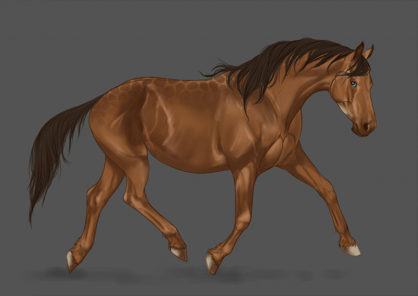 2022 ambiguous_gender blue_eyes brown_body brown_hair brown_mane brown_tail digital_media_(artwork) dolero equid equine feathering feral fur hair hooves horse looking_at_viewer mammal mane solo superlavplov tail trotting