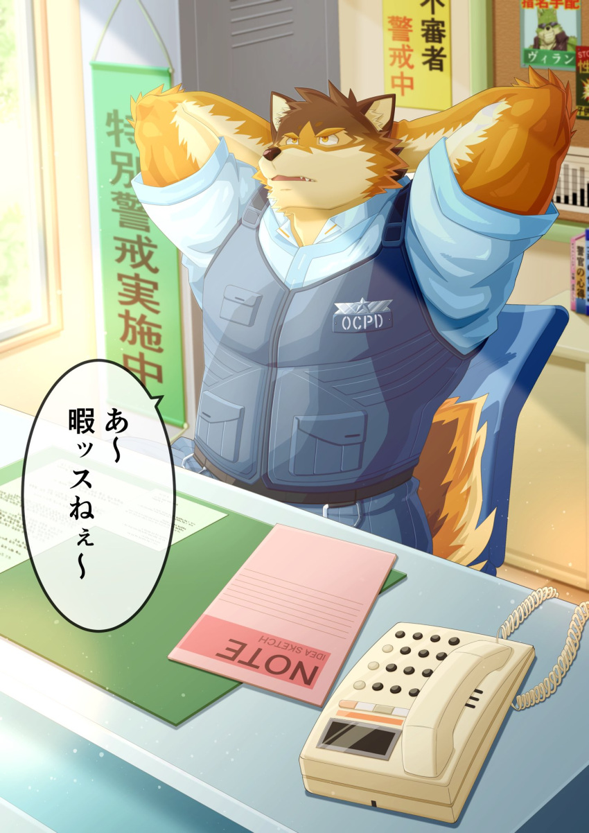 anthro barrel_(live_a_hero) canid canine canis clothing countershading desk furniture hi_res homohomofever japanese_text lifewonders live_a_hero male mammal muscular muscular_anthro muscular_male police police_uniform solo table text uniform wolf