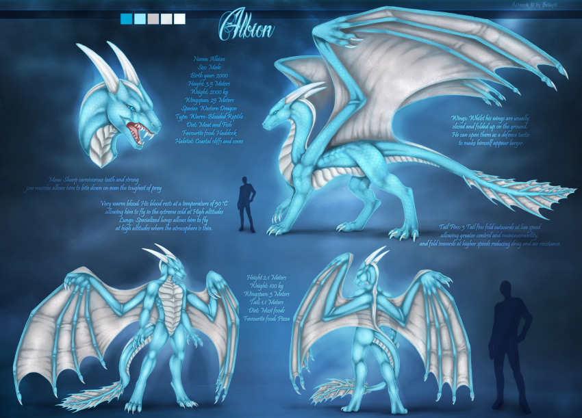 2020 4_toes 5_fingers albion_(albion2000) ambiguous_gender anthro blue_eyes claws digital_media_(artwork) dragon english_text european_mythology feet feral fingers hi_res horn male membrane_(anatomy) membranous_wings model_sheet mythological_creature mythological_scalie mythology open_mouth scales scalie selianth solo tail teeth text toes tongue western_dragon wings