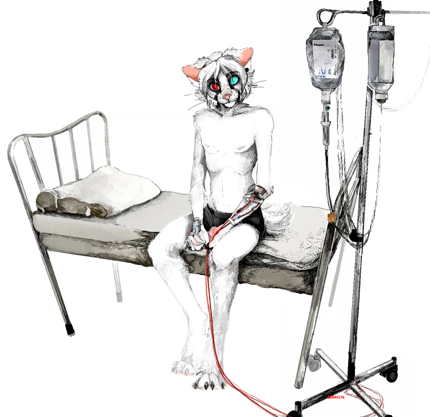 anthro barefoot bed black_body black_fur blood bodily_fluids bottomwear catheter claws clothing detailed digital_media_(artwork) digital_painting_(artwork) domestic_cat feet felid feline felis fur furniture hair heterochromia hi_res hospital_bed intravenous intravenous_drip jeffusherb looking_at_viewer male mammal markings mattress medical_instrument monotone_body monotone_fur monotone_hair on_bed patient paws pillow pipe pixel_(artwork) scientific_instrument shorts simple_background sitting sitting_on_bed solo toe_claws whiskers white_background white_body white_fur white_hair