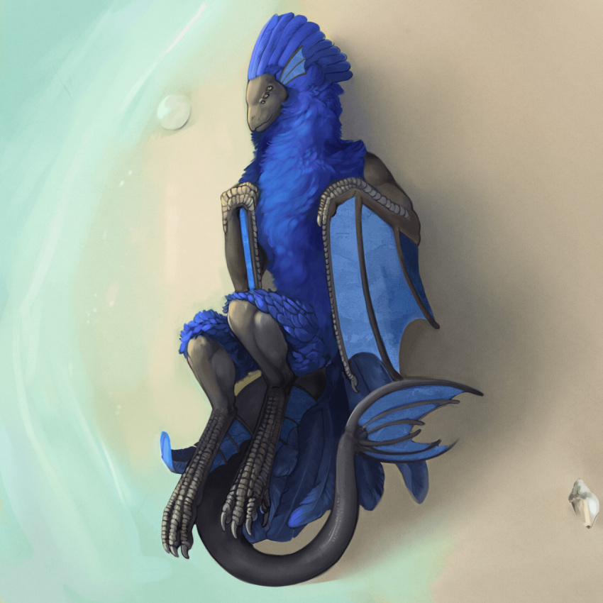 1:1 ambiguous_gender avian beach bird blue_body classical diorionarh feral fur hi_res lying lying_on_ground mythology nature nature_background on_ground renaissance scalie sea seaside simple_background solo tail tail_motion tailwag water wings