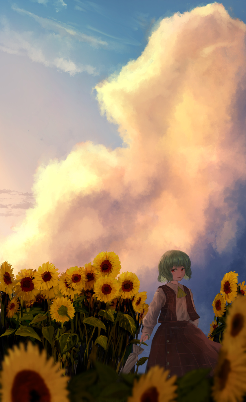 arm_at_side ascot bad_id bad_pixiv_id blue_sky blurry blurry_foreground buttons closed_umbrella cloud collared_shirt colored_eyelashes cumulonimbus_cloud day female flower garden_of_the_sun green_hair highres holding holding_umbrella kazami_yuuka kougekiryoku long_skirt long_sleeves looking_to_the_side open_mouth pink_sky plaid plaid_skirt plaid_vest red_eyes red_skirt red_vest shirt short_hair skirt skirt_set sky smile solo sunflower sunset touhou umbrella vest white_shirt yellow_ascot